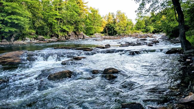 river running over rocks with green trees